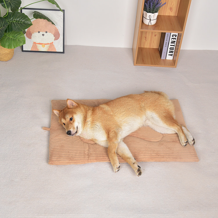 TOP-19356 Removable Memory Foam Dog Kennel Mat